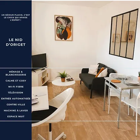 Le Nid D'origet Centre-ville Wifi Cosy Appartamento *